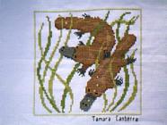 Any child cross stitch category: Animals - Australian