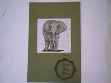 Card for (QUILTED) Realistic Wildlife E01