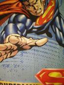 Fabric for Ryder