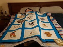 Ben  T's quilt