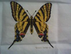 Cross stitch square for Layla Jane's quilt