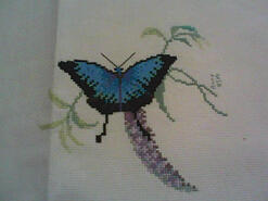 Cross stitch square for Ember's quilt