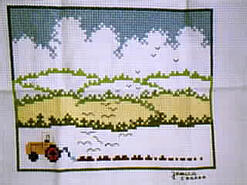 Cross stitch square for Quinn H's quilt