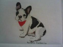 Cross stitch square for any child
