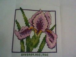 Cross stitch square for Rani's quilt