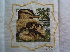 Cross stitch square for Arya B's quilt