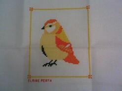 Cross stitch square for Arya B's quilt