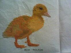 Cross stitch square for Arya B's quilt