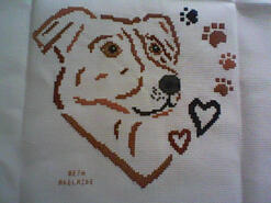 Cross stitch square for Ben  T's quilt