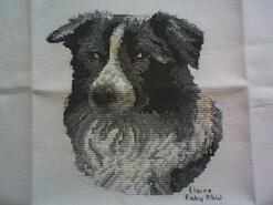 Cross stitch square for Ben  T's quilt