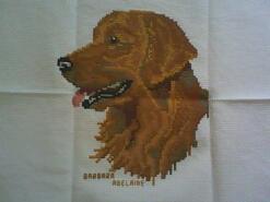Cross stitch square for Ben  T's quilt