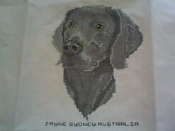 Cross stitch square for Ben  T's quilt
