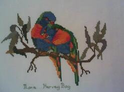 Cross stitch square for Arya B's quilt