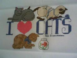 Cross stitch square for Kaylee-Jayde's quilt