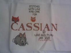 Cross stitch square for Cassian's quilt
