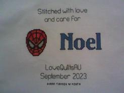 Cross stitch square for Noel's quilt