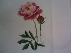 Cross stitch square for Tahani's quilt