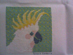 Cross stitch square