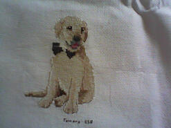 Cross stitch square for any child