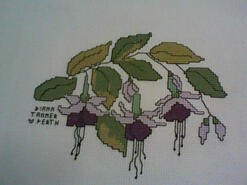 Cross stitch square for Layla Jane's quilt