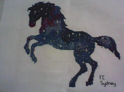 Cross stitch square for Sally Q's quilt