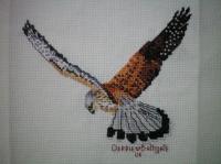 Photo of (QUILTED) Realistic Wildlife E01