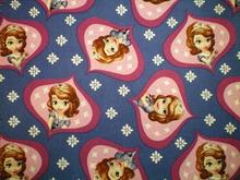 Fabric for Rachel G