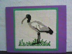 Photo of card