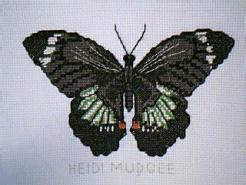 Cross stitch square for (QUILTED) Butterfly E02's quilt