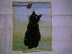 Cross stitch square for Holly's quilt