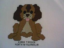 Cross stitch square for Heath S's quilt