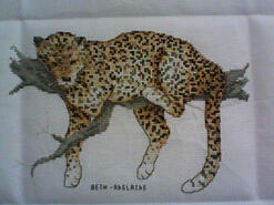 Cross stitch square for Realistic Animal/Wildlife Stitch-a-long's quilt