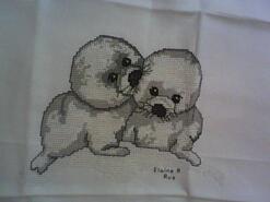Cross stitch square for Samuel A's quilt