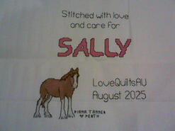 Cross stitch square for Sally Q's quilt