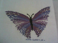 Cross stitch square for Chelsea P's quilt