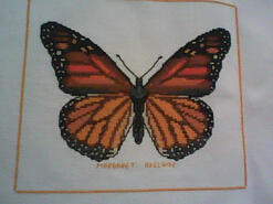 Cross stitch square for Evie U's quilt