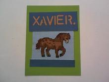 Card for Xavier 