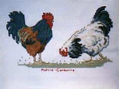 Cross stitch square for (QUILTED) Chooks & Roosters E01's quilt