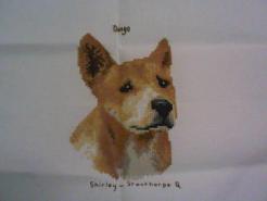 Cross stitch square for Australian Animal Stitch-a-long's quilt