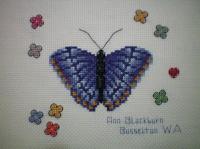 Photo of (QUILTED) Butterfly E02